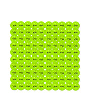 VPRO FLIGHT Pickleball